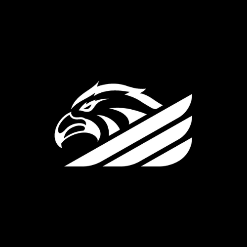 Alfa Aviation Academy