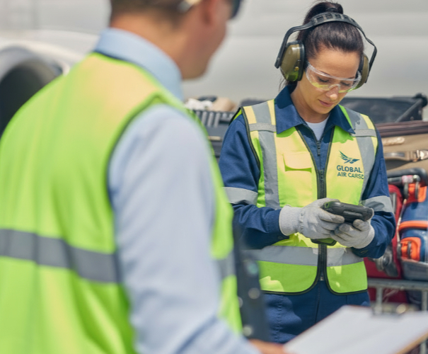 Aircraft Turnaround Auditing