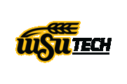 Adjunct Faculty, Avionics